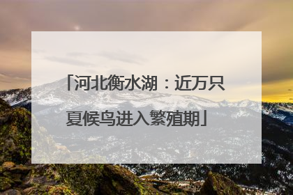 河北衡水湖：近万只夏候鸟进入繁殖期
