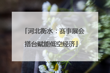 河北衡水：赛事展会搭台赋能低空经济