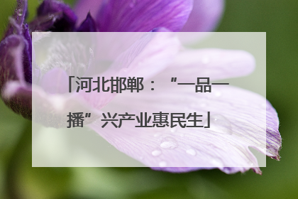 河北邯郸：“一品一播”兴产业惠民生
