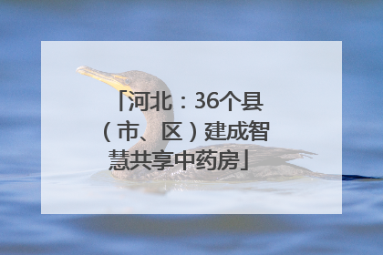 河北：36个县（市、区）建成智慧共享中药房