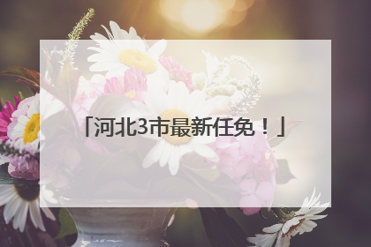 河北3市最新任免！