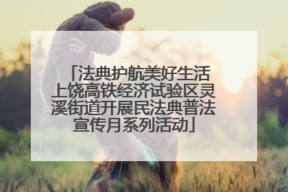 法典护航美好生活 上饶高铁经济试验区灵溪街道开展民法典普法宣传月系列活动