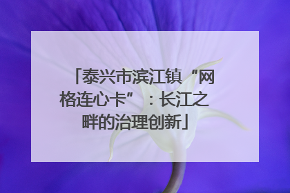 泰兴市滨江镇“网格连心卡”：长江之畔的治理创新