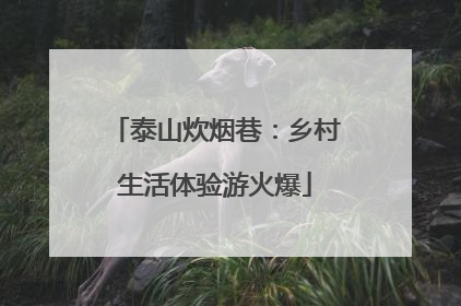 泰山炊烟巷：乡村生活体验游火爆