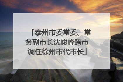 泰州市委常委、常务副市长沈峻峰跨市调任徐州市代市长