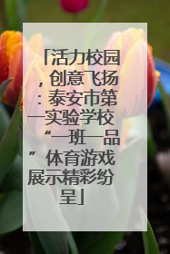 活力校园，创意飞扬：泰安市第一实验学校“一班一品”体育游戏展示精彩纷呈