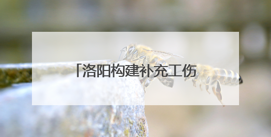 洛阳构建补充工伤保险“双轨制” 兜底职业伤害保障