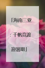 海南三亚：千帆竞渡迎暑期