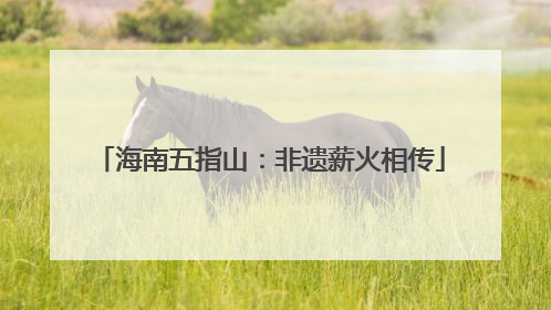 海南五指山：非遗薪火相传