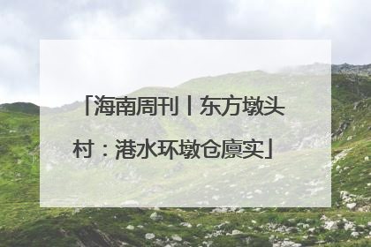 海南周刊丨东方墩头村：港水环墩仓廪实