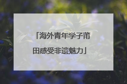 海外青年学子莆田感受非遗魅力