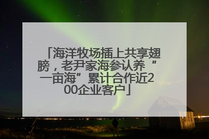 海洋牧场插上共享翅膀，老尹家海参认养“一亩海”累计合作近200企业客户