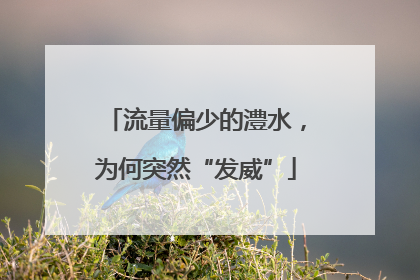 流量偏少的澧水，为何突然“发威”
