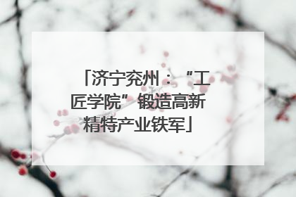 济宁兖州：“工匠学院”锻造高新精特产业铁军