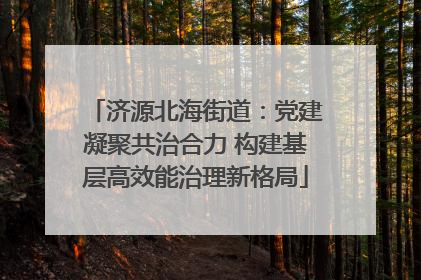 济源北海街道：党建凝聚共治合力 构建基层高效能治理新格局