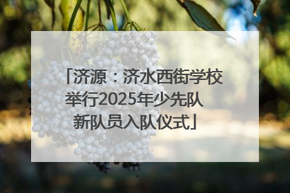 济源：济水西街学校举行2025年少先队新队员入队仪式