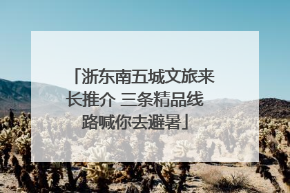 浙东南五城文旅来长推介 三条精品线路喊你去避暑