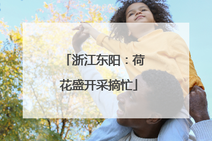 浙江东阳：荷花盛开采摘忙