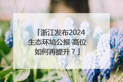 浙江发布2024生态环境公报 高位如何再提升？