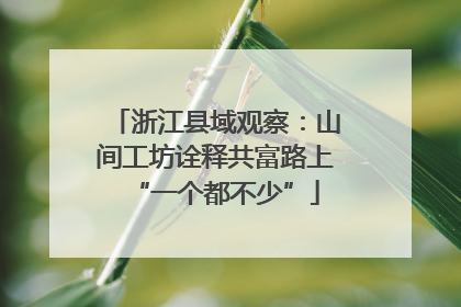浙江县域观察：山间工坊诠释共富路上“一个都不少”