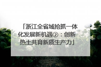 浙江全省域抢抓一体化发展新机遇②：创新热土共育新质生产力