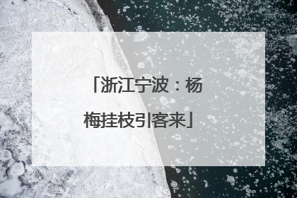 浙江宁波：杨梅挂枝引客来