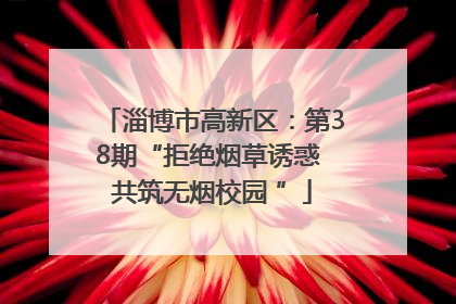 淄博市高新区：第38期“拒绝烟草诱惑 共筑无烟校园 ”