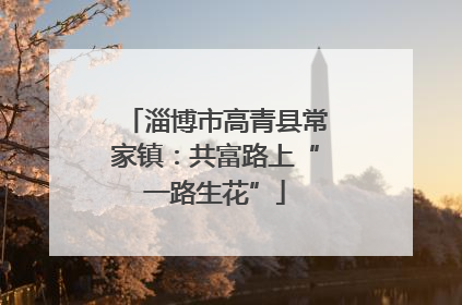 淄博市高青县常家镇：共富路上“一路生花”