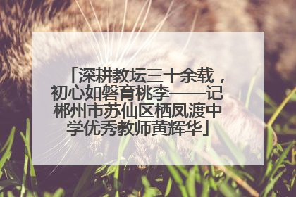 深耕教坛三十余载，初心如磐育桃李——记郴州市苏仙区栖凤渡中学优秀教师黄辉华