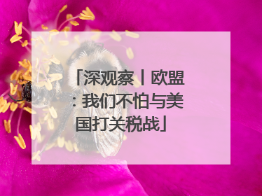 深观察丨欧盟：我们不怕与美国打关税战