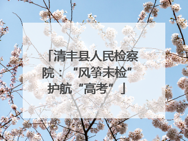 清丰县人民检察院：“风筝未检”护航“高考”