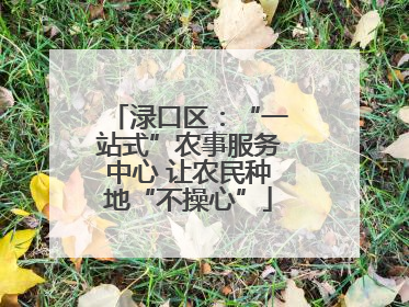 渌口区：“一站式”农事服务中心 让农民种地“不操心”