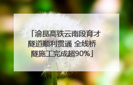 渝昆高铁云南段育才隧道顺利贯通 全线桥隧施工完成超90%