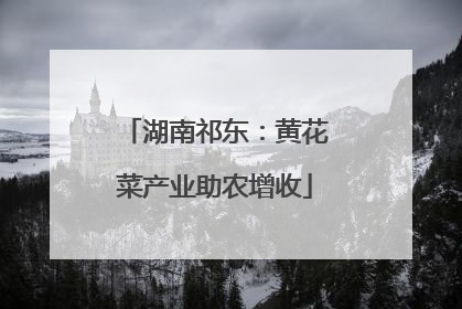 湖南祁东：黄花菜产业助农增收