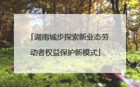 湖南城步探索新业态劳动者权益保护新模式