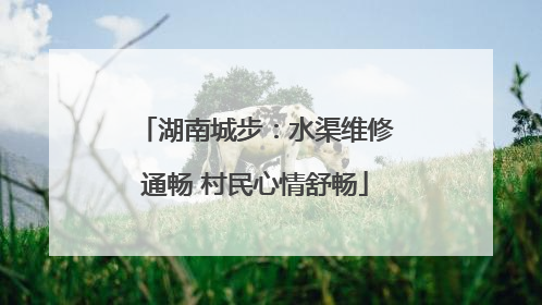 湖南城步：水渠维修通畅 村民心情舒畅