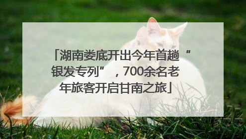 湖南娄底开出今年首趟“银发专列”，700余名老年旅客开启甘南之旅