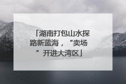 湖南打包山水探路新蓝海，“卖场”开进大湾区