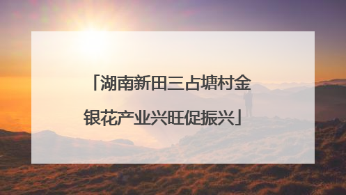 湖南新田三占塘村金银花产业兴旺促振兴