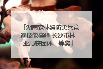 湖南森林消防尖兵竞逐技能巅峰 长沙市林业局获团体一等奖
