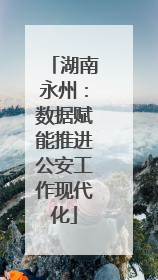 湖南永州：数据赋能推进公安工作现代化