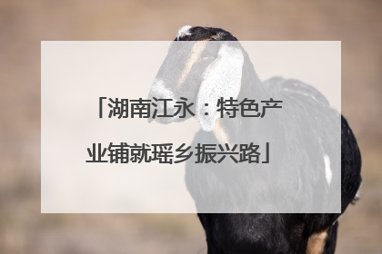 湖南江永：特色产业铺就瑶乡振兴路