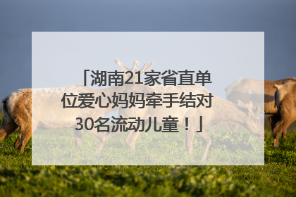 湖南21家省直单位爱心妈妈牵手结对30名流动儿童!
