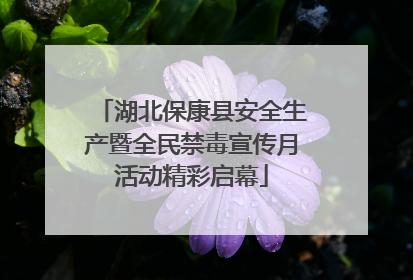 湖北保康县安全生产暨全民禁毒宣传月活动精彩启幕