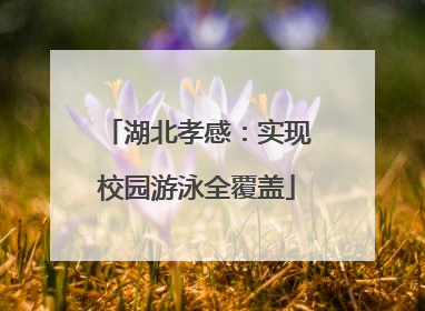 湖北孝感：实现校园游泳全覆盖
