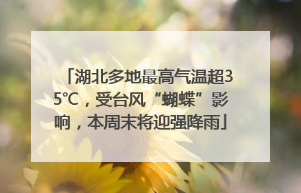 湖北多地最高气温超35℃，受台风“蝴蝶”影响，本周末将迎强降雨