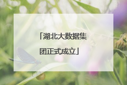湖北大数据集团正式成立