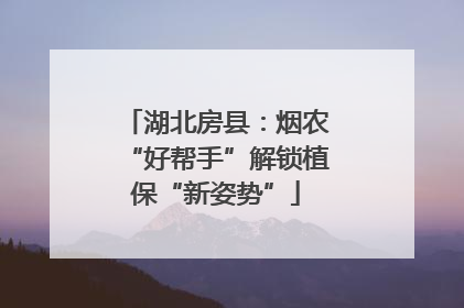 湖北房县：烟农“好帮手”解锁植保“新姿势”