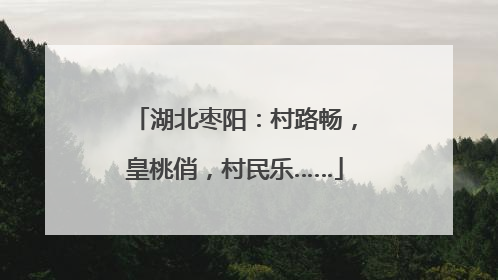 湖北枣阳：村路畅，皇桃俏，村民乐……