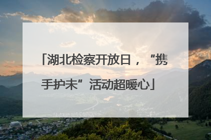 湖北检察开放日，“携手护未”活动超暖心